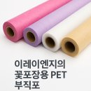 이레PET