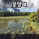 서광@옆 공원도로 이미지