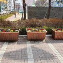 가능동주민센터 이미지