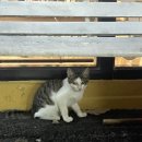 베이커리경 이미지