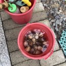 몽산포 휴림 이미지