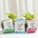 메가메디(주) 이미지