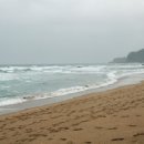 삼척 월천항~삼척 증산해수욕장 네이버블로그