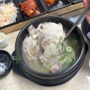 서촌 | 마산밥집 서촌삼계탕 방문 후기