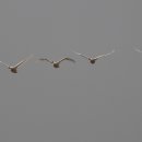 (주)백산 이미지