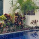 Pool&Sauna (풀&사우나) 이미지