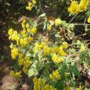 남성공원 이미지