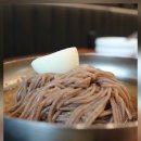 봉평고향막국수 이미지