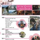 함양 백운산 벚꽃축제(경남 함양) 이미지