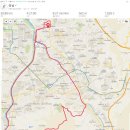 Trail Run 이미지