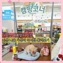 웰빙 생활용품 백화점 | 건대 스타시티 다이소 신상 여름시즌용품 캠핑 강아지 간식 문구류 구매후기