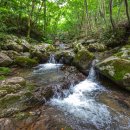 태안사계곡 이미지