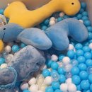 우주세탁소 이미지