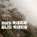 대신공원 민속예술관 옆 | 2025 서울 단풍명소 하늘공원 억새축제 가는방법과 주차 메타세콰이어길