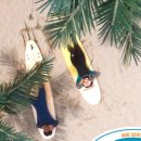 나인비치37 이미지