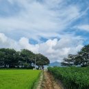 홍현-stay 이미지