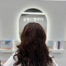 살롱드벨루아