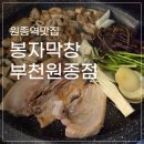 원종제3경로당 | 막창 못먹는 사람도 함께 즐길 수 있는 원종역맛집 <봉자막창 부천원종점>