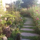 백세프라자약국 이미지