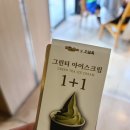 서광산업(유) | 제주도 가족 여행:) 제주 낭만 여행 오설록 티 뮤지엄