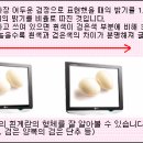 [리뷰]PDP / LCD 선정시 참고사항 이미지