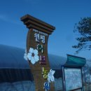 원평2로 이미지