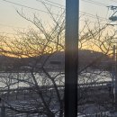 달콤커피효자강변점