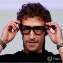 안경판다 이미지