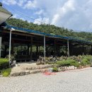 금수강산 식육식당 이미지