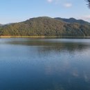 보훈행정사 이미지