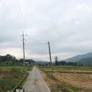 수목원치과의원 이미지