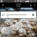 산아래농장 이미지