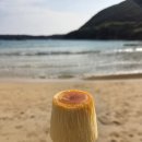 신사-218 | 대마도 히타카츠 당일치기 후기/렌탈 자전거 펑크/결항/여행자보험/경비