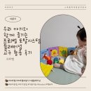우리 아기와 함께 즐기는 프뢰벨 토탈시스템 플래티넘 교구 활용 후기