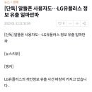 알뜰폰 사용자도…LG유플러스 정보 유출 일파만파 이미지