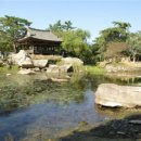미르조경