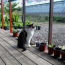 빈이농장 이미지