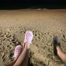 (주)트렉시 | 크록스 바야밴드 클로그 핑크 내돈내산 후기 및 코디 가격 사이즈