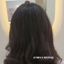 허쉬네일 네이버블로그