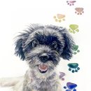 디지털 드로잉 기초 (오전) 이미지