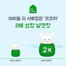 코코지나 지디넷코리아