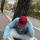 프라이(FREI) T.G.I.F 자카드 니트, 볼캡 후기 추천