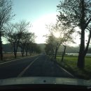 미천공원 이미지