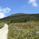 11월 16일 무등산 국립 공원 옛길(2구간)~서석대(1100m)-산만디 이미지