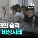 미주, 모기떼의 습격…뎅기열 3배 '비상사태' 이미지