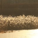 광교호수로-1 이미지