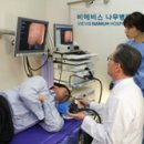 비에비스나무병원 이미지