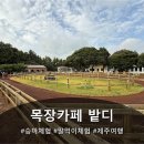 정감목장 | 힐링...승마·말먹이 체험 가능한 ‘목장카페 밭디’ 솔직 후기 (성산카페/성산일출봉카페 추천) (Part 1)