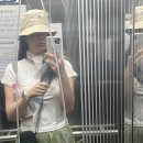 도솔산보루 | [등린이 일기] 대전 서구 산책코스 도솔산 등산 후기 (갈마정에서 출발)