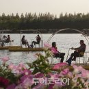 꽃세계 이미지